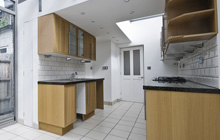 Nettlestead Green kitchen extension leads
